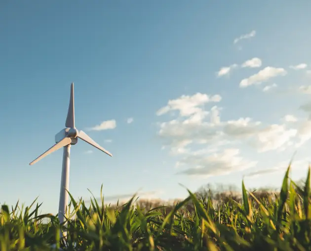 toy-wind-turbine-on-a-green-wheat-field-2024-09-30-03-46-29-utc